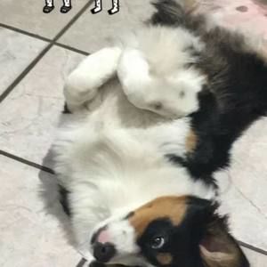 Meet your Posher, Travis